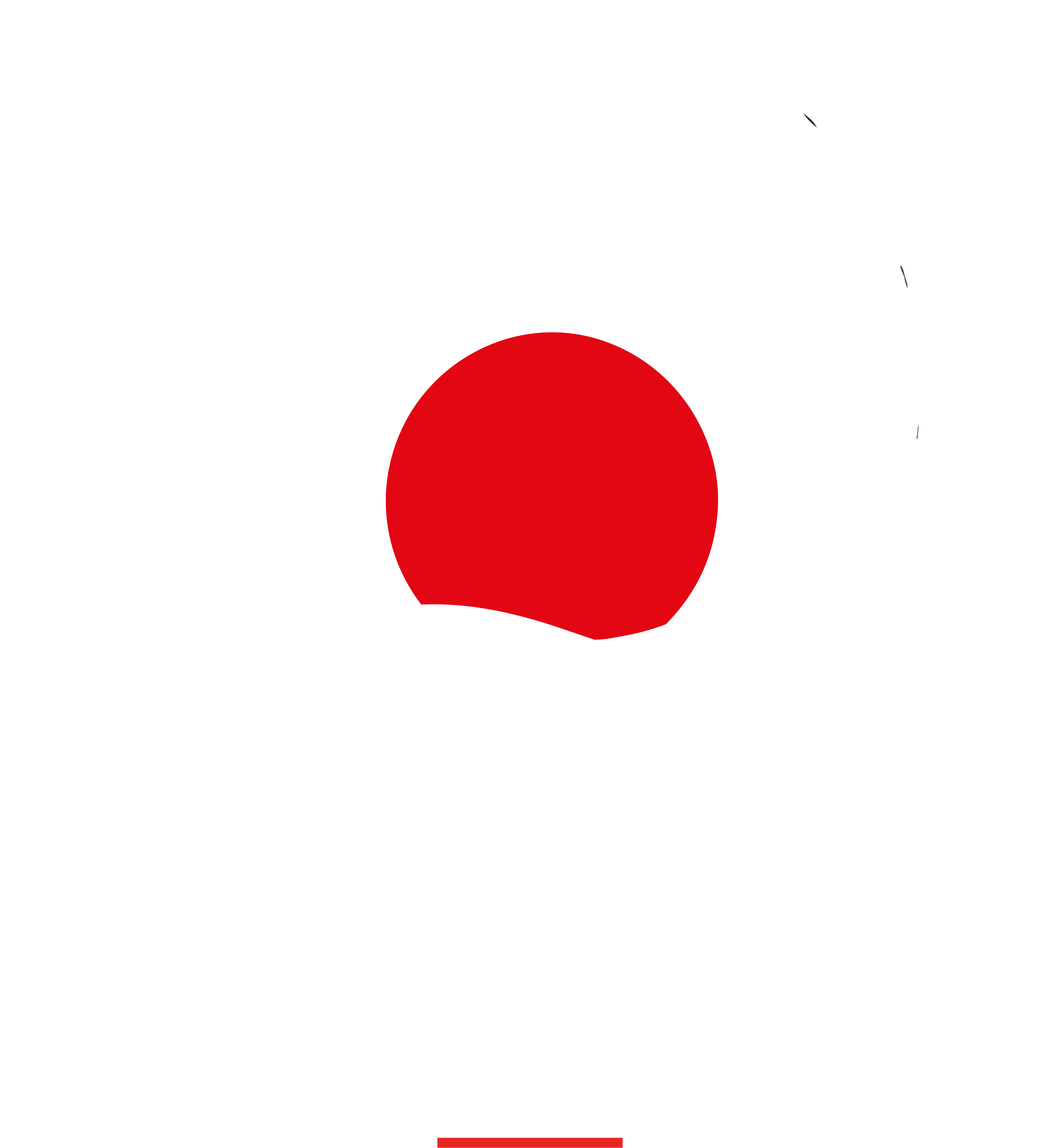nori-willich.de